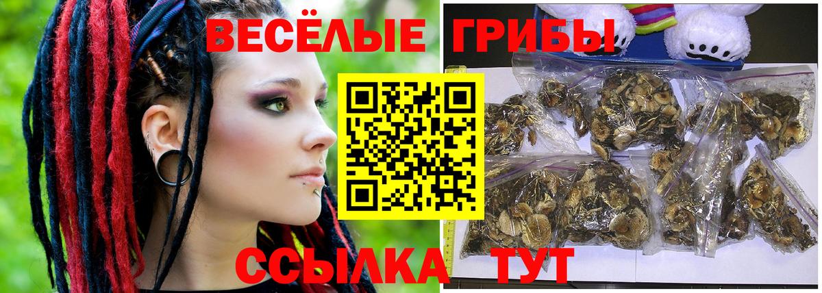 Волгоград  купить закладку  Вход с VPN  Псилоцибиновые грибы мухоморы 